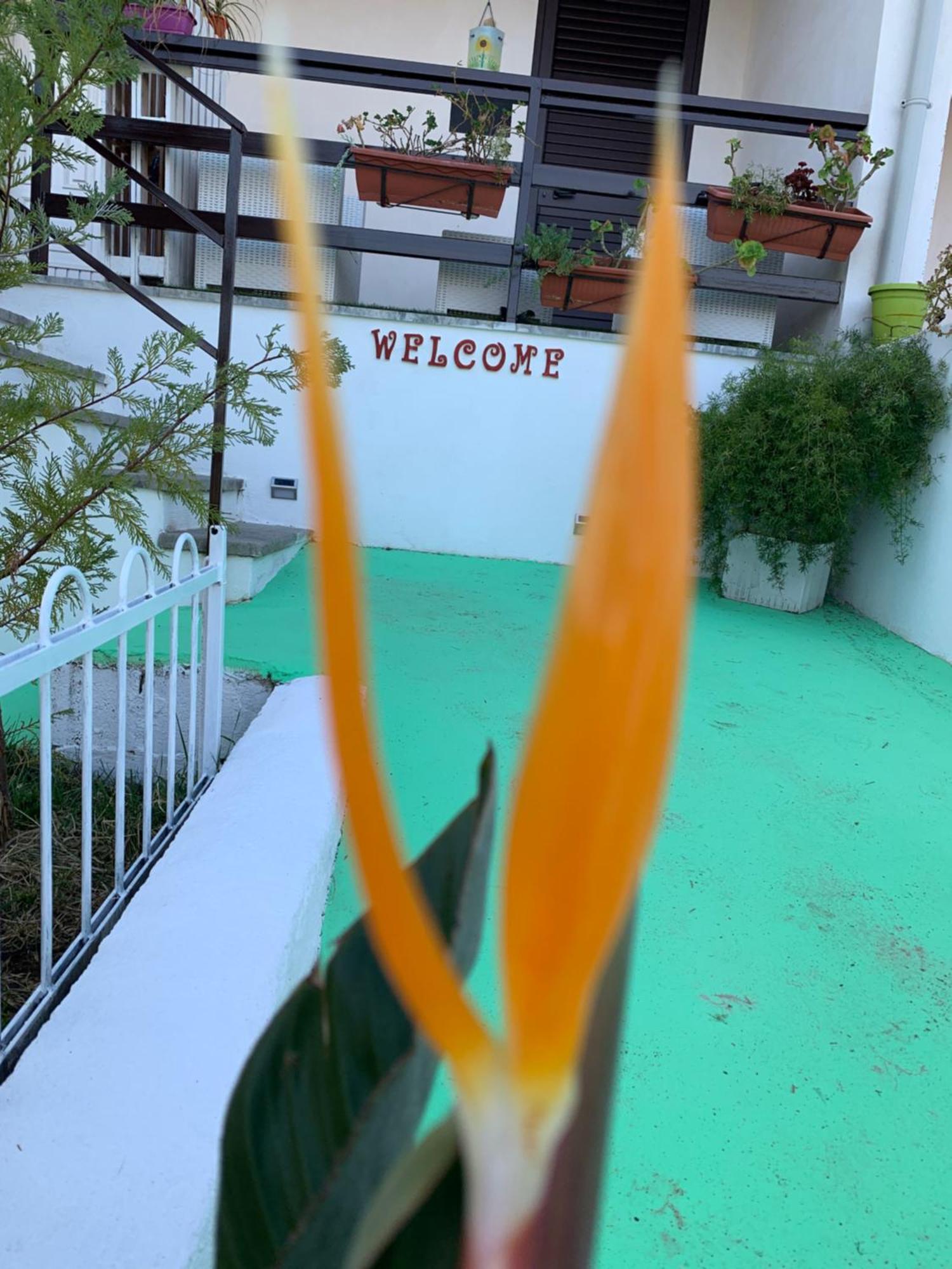 B&B A Casa Di Picci Санта-Доменика Экстерьер фото