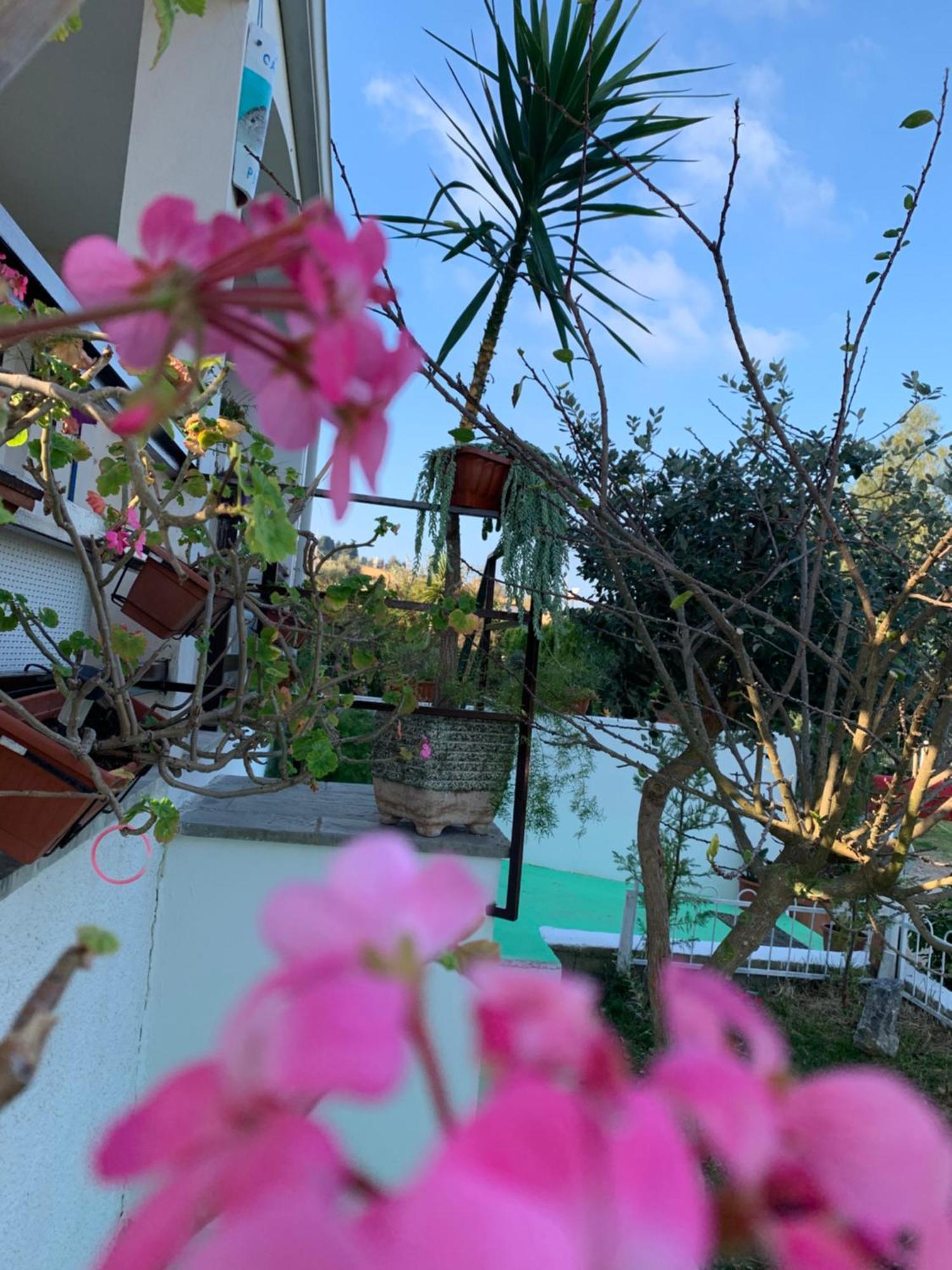 B&B A Casa Di Picci Санта-Доменика Экстерьер фото