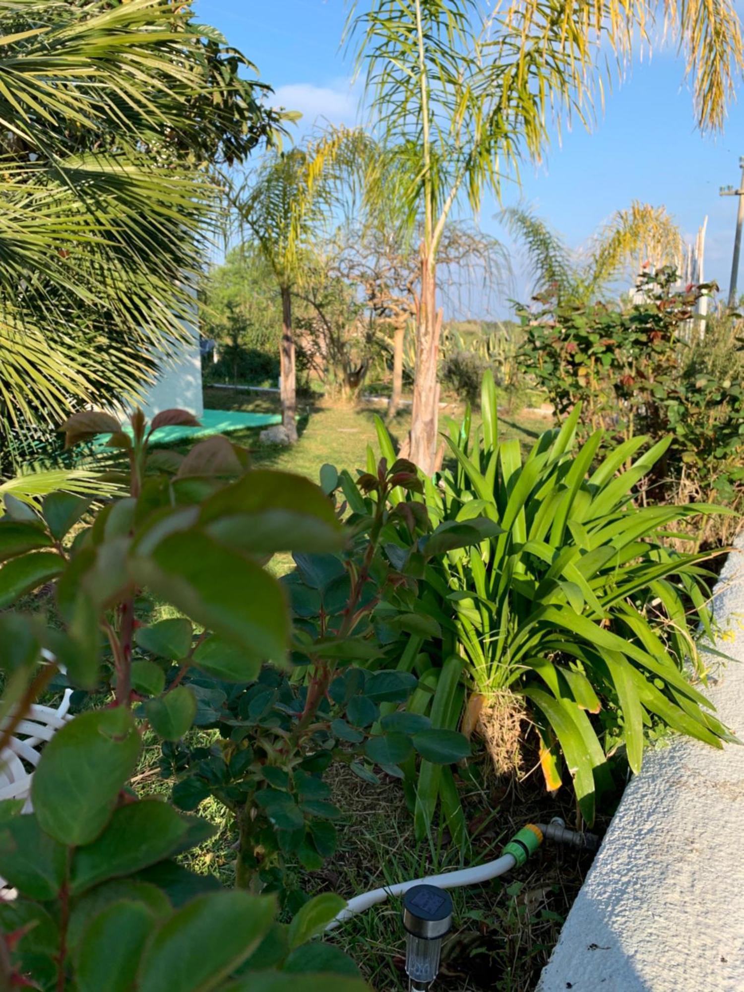 B&B A Casa Di Picci Санта-Доменика Экстерьер фото