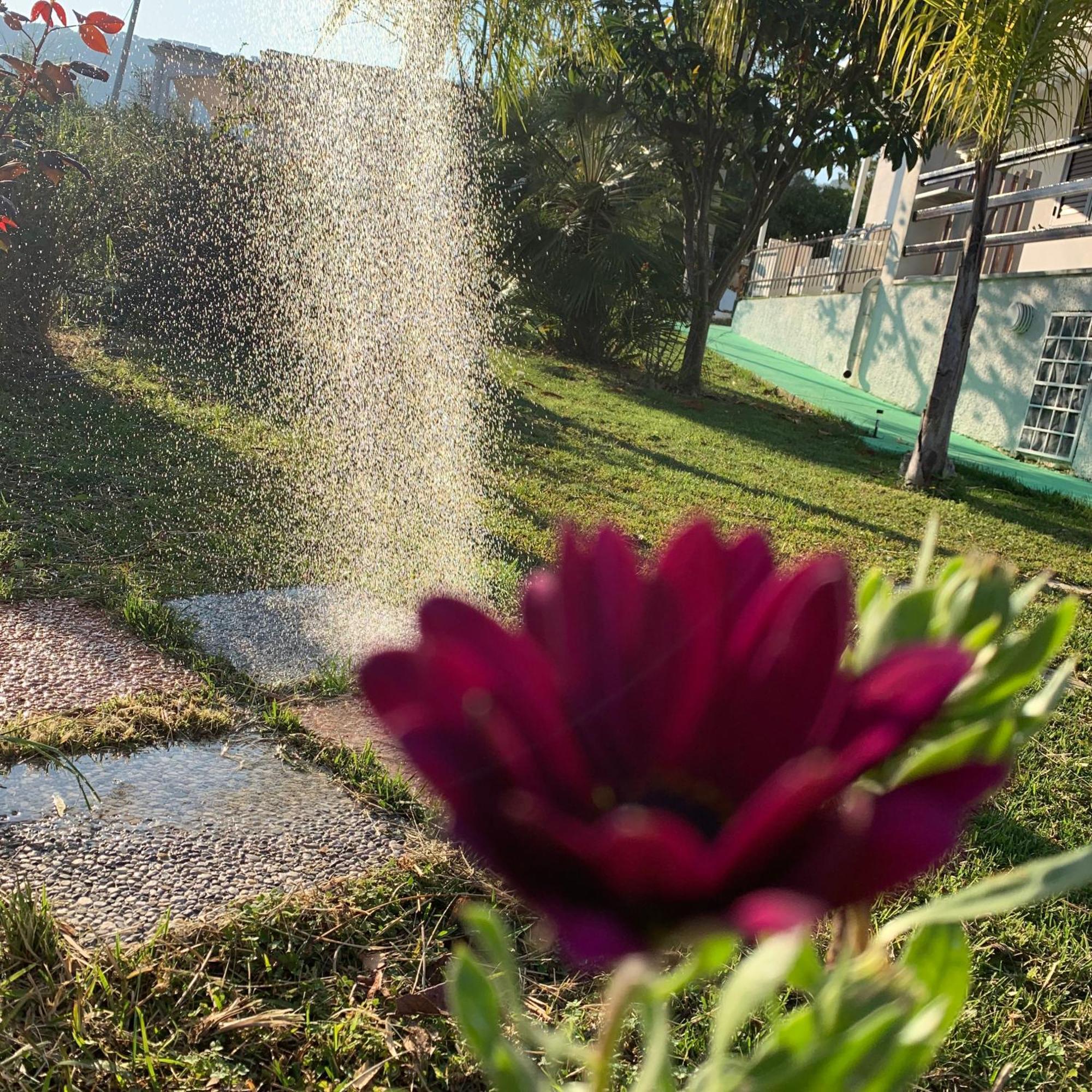 B&B A Casa Di Picci Санта-Доменика Экстерьер фото