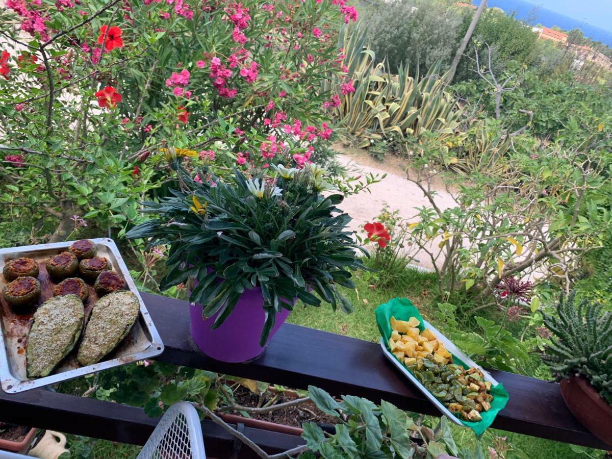 B&B A Casa Di Picci Санта-Доменика Экстерьер фото